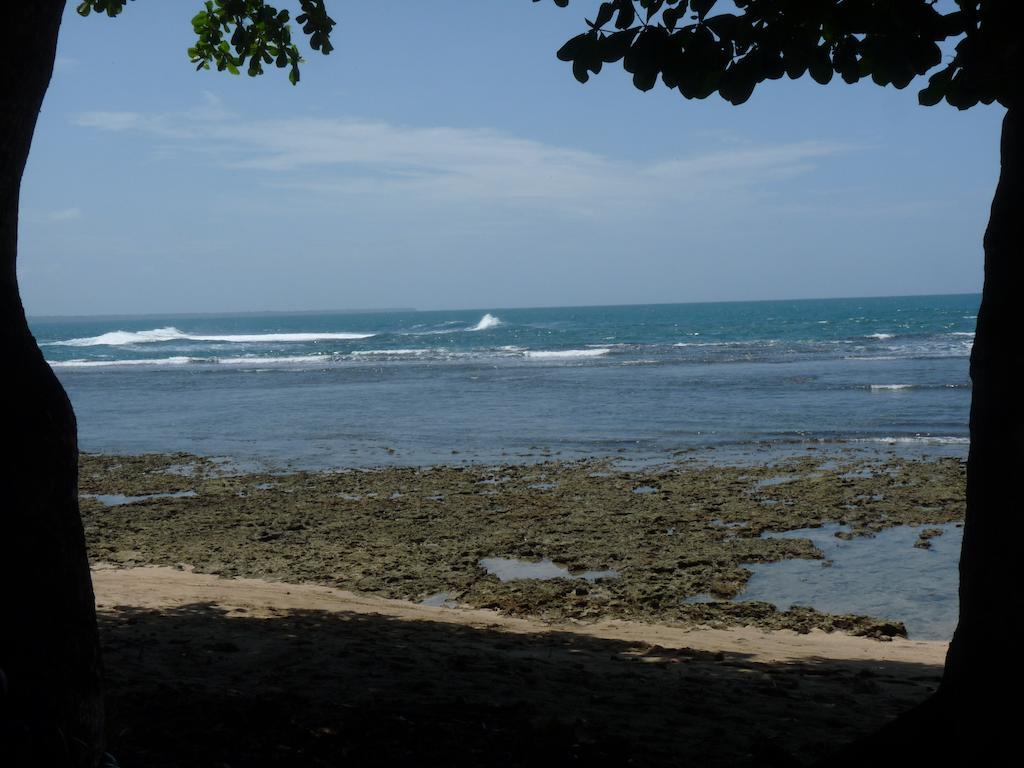 Yucca Beachfront Hotel Puerto Viejo de Talamanca Luaran gambar