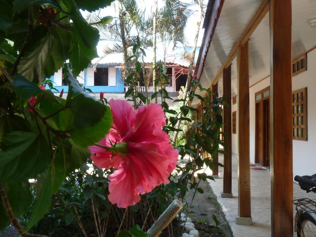 Yucca Beachfront Hotel Puerto Viejo de Talamanca Luaran gambar